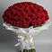 Букет 101 Красная роза Блэк Мэджик в Тогуре