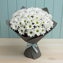 Букет цветов из:  Хризантемы #REPLACE_PRED# Тогуре