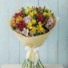 Букет цветов из:  Альстромерии #REPLACE_PRED# Тогуре