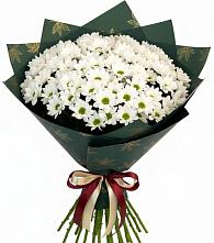 Букет цветов из:  Хризантемы #REPLACE_PRED# Тогуре