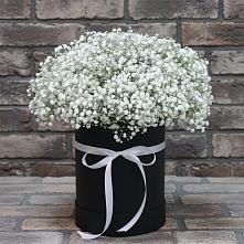 Цветочная композиция из Гипсофила в шляпной коробке в Тогуре